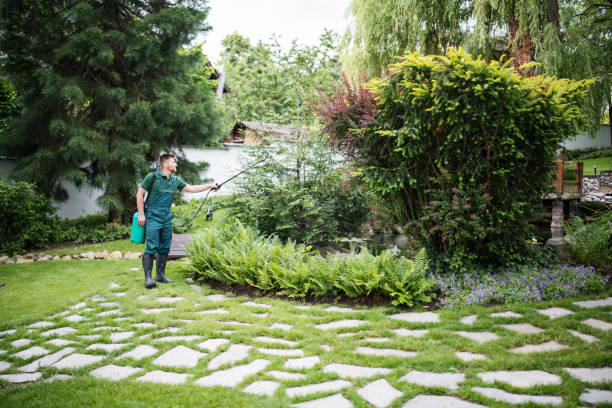 Best Best Pest Control Companies  in Atwater, MN