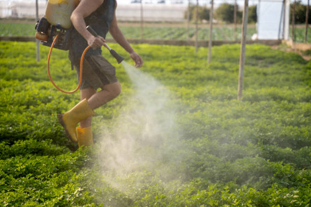 Best Pest Removal Services  in Atwater, MN
