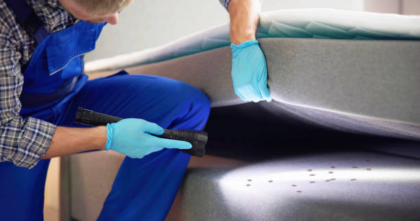 Professional Pest Control in Atwater, MN