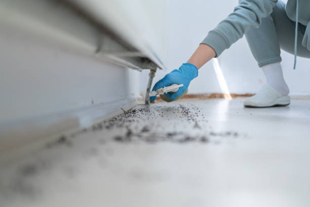 Best Flea Control Services  in Atwater, MN
