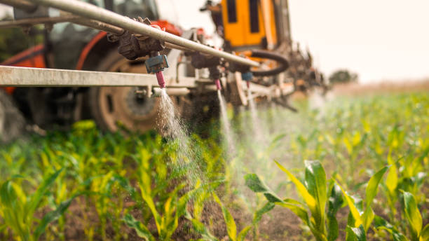 Best Wildlife Control Services  in Atwater, MN