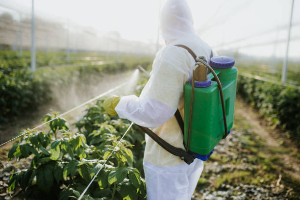 Best Pest Control Near Me  in Atwater, MN